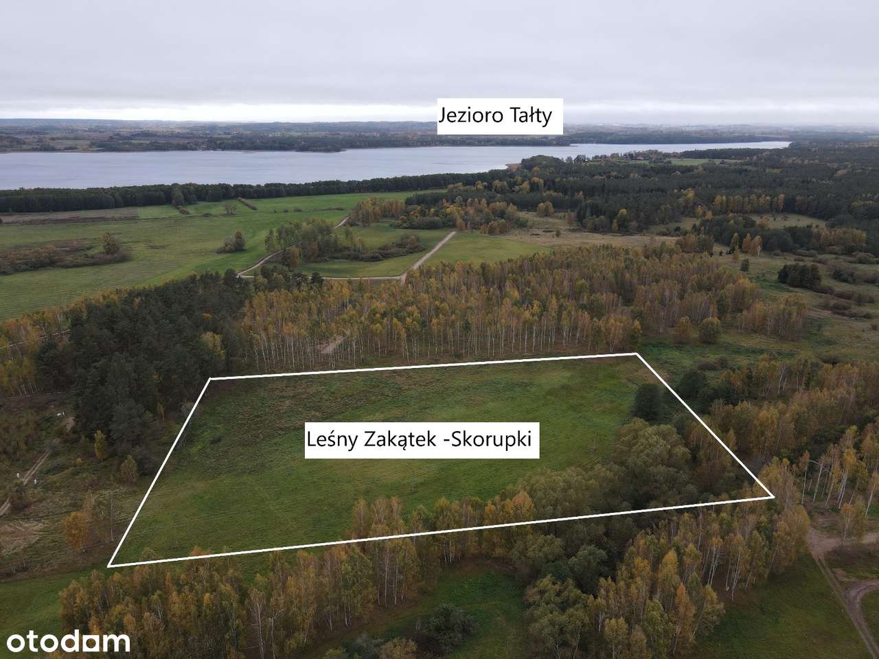 Leśny Zakątek Skorupki - działka pod lasem - SWJM - odlicz VAT 23%-3