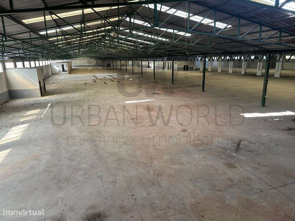 Armazém Industrial, Z. Industrial Torres Novas - Santarém, 12.056 m2-10