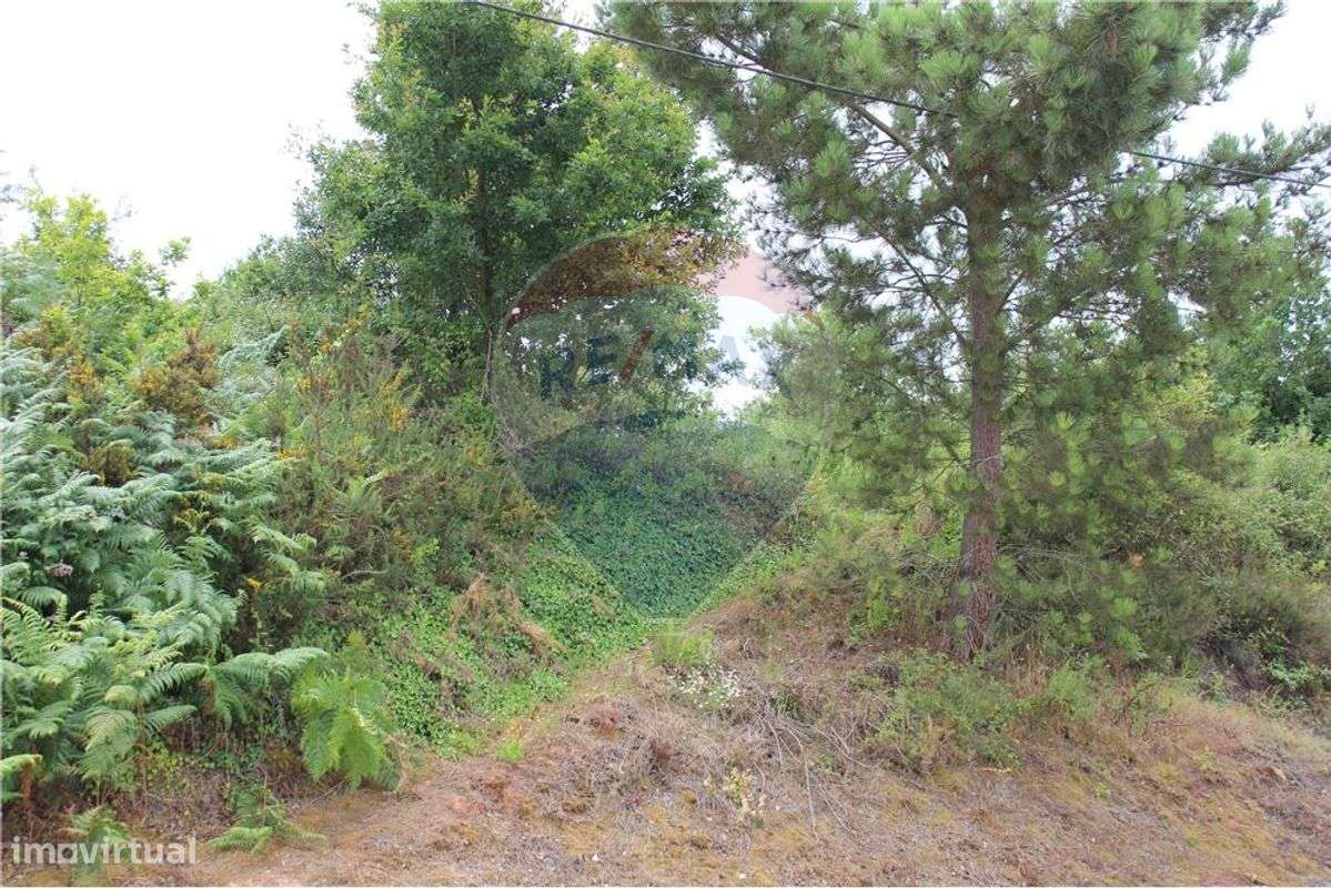 Terreno no Ameal,Taveiro - Grande imagem: 4/6