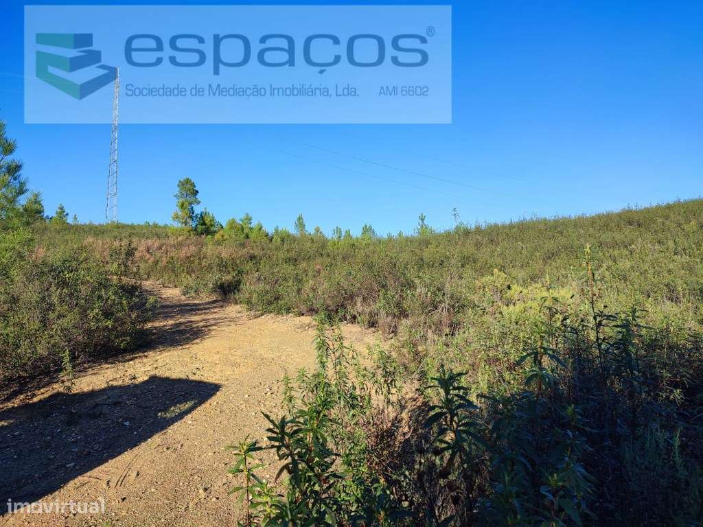 Terrenos agrícolas - Grande imagem: 5/10