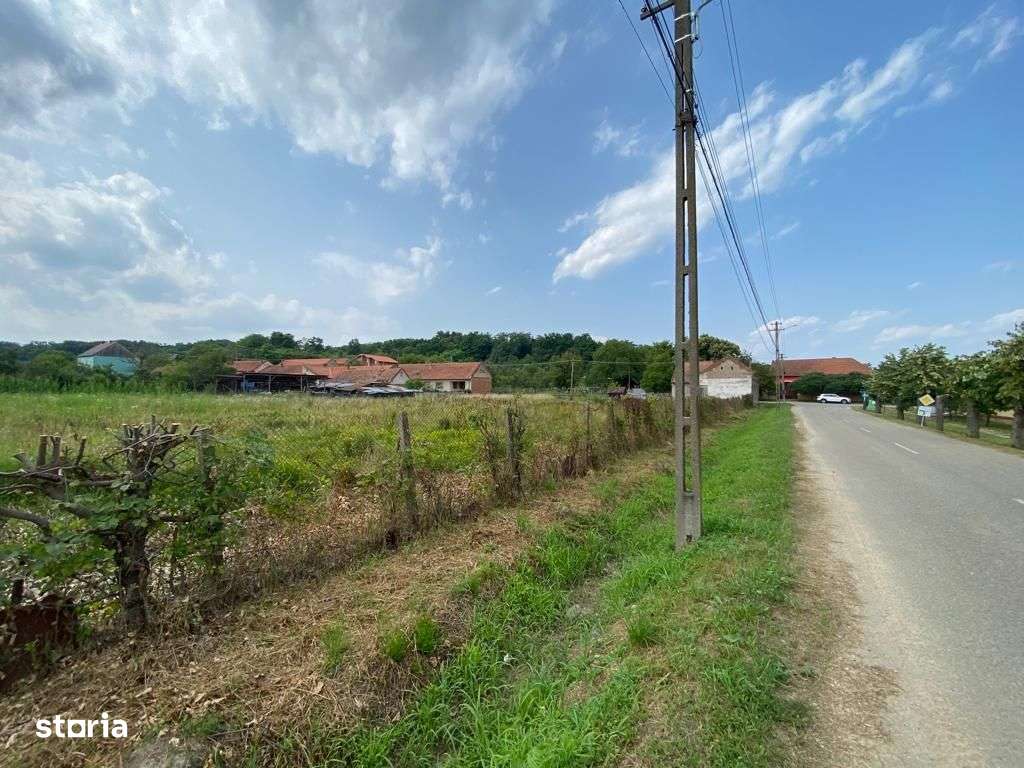 Teren Zgribesti numai 5 euro/mp - Imagine principală: 2/5