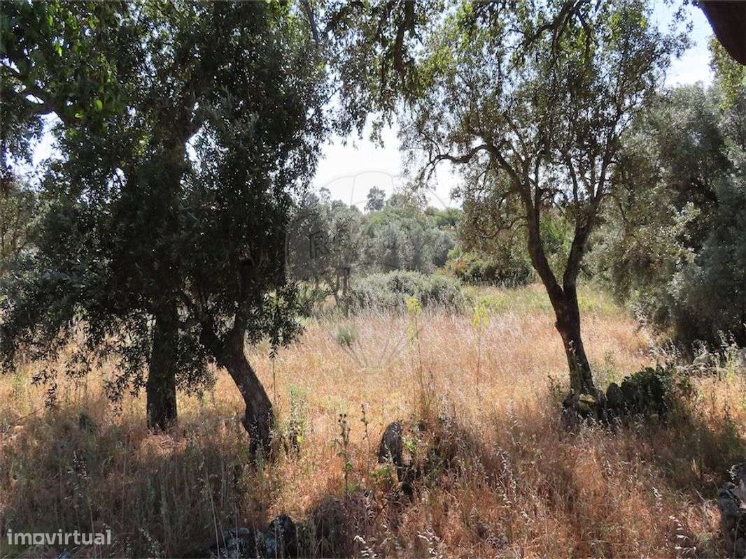 Quinta  para venda - Grande imagem: 3/10