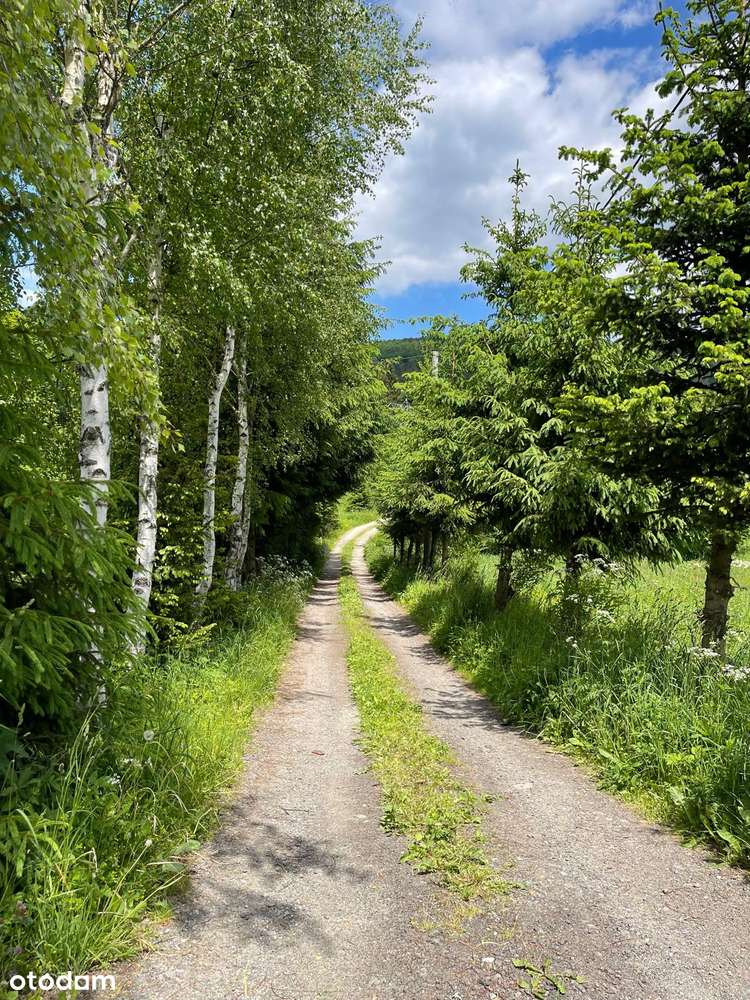 Duża działak budowlana w Rzeczce - Pełny obrazek: 4/9