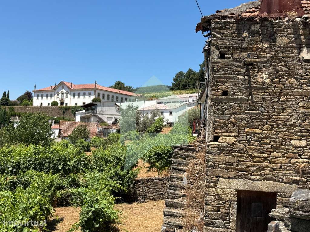 Casa de campo com projeto aprovado em Cidadelhe, Mesão Frio-22
