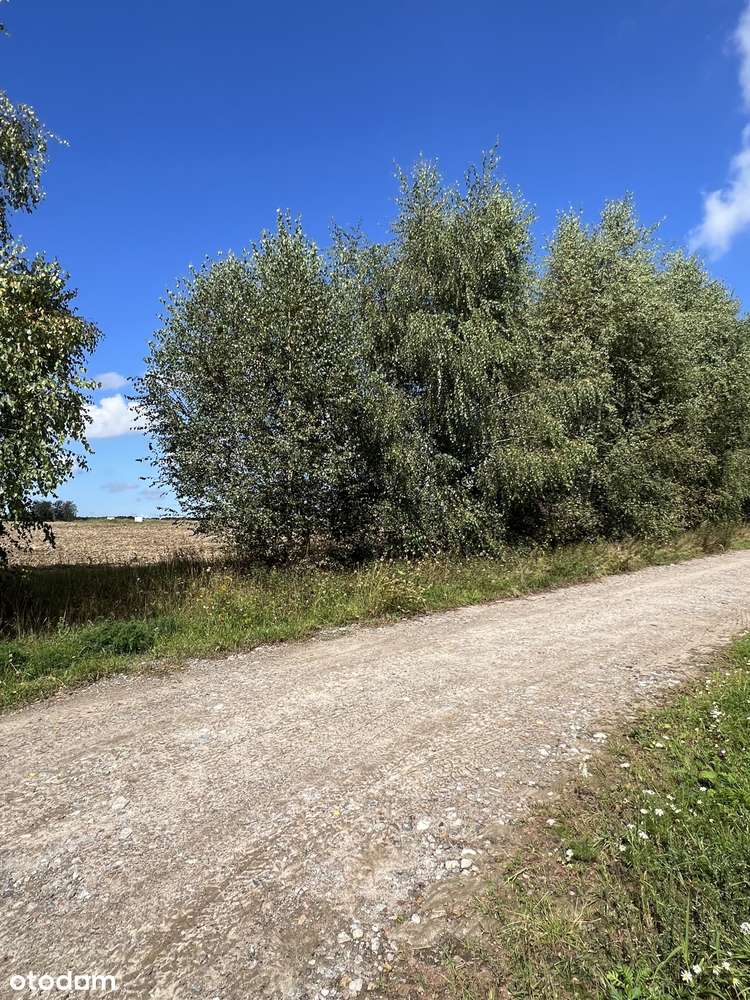 Działka 1062 m² z mediami w pięknej okolicy - Pełny obrazek: 5/6