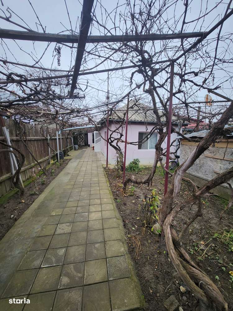 Casa cu 3 camere  in Serbanesti - Imagine principală: 5/20