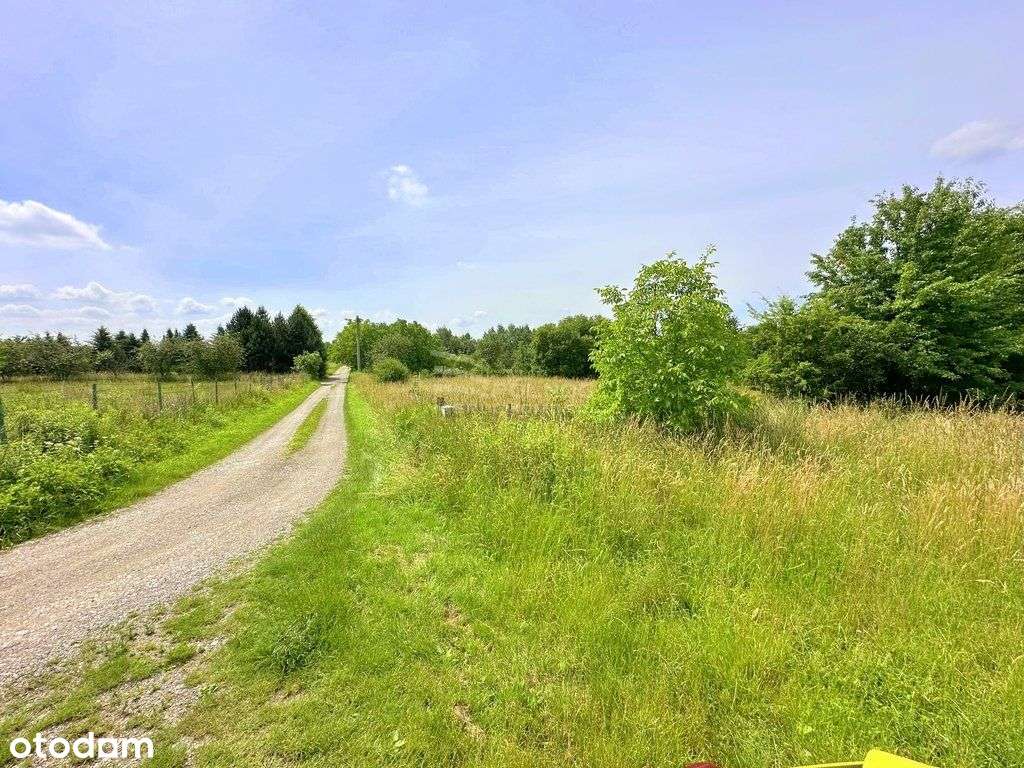 Wyjątkowa działka, 4ha, gmina Zabierzów, PnB - Pełny obrazek: 5/6