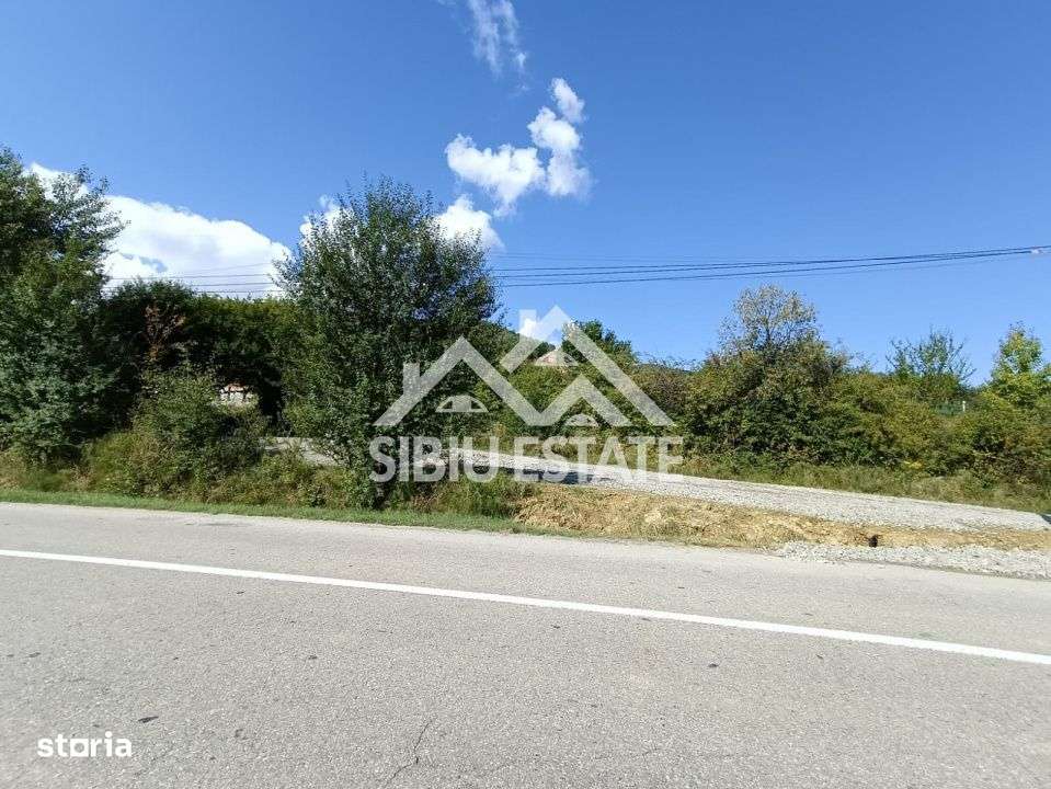 Teren  construibil ,la sosea, intre Vale si Sibiel, zona cu potential - Imagine principală: 4/13