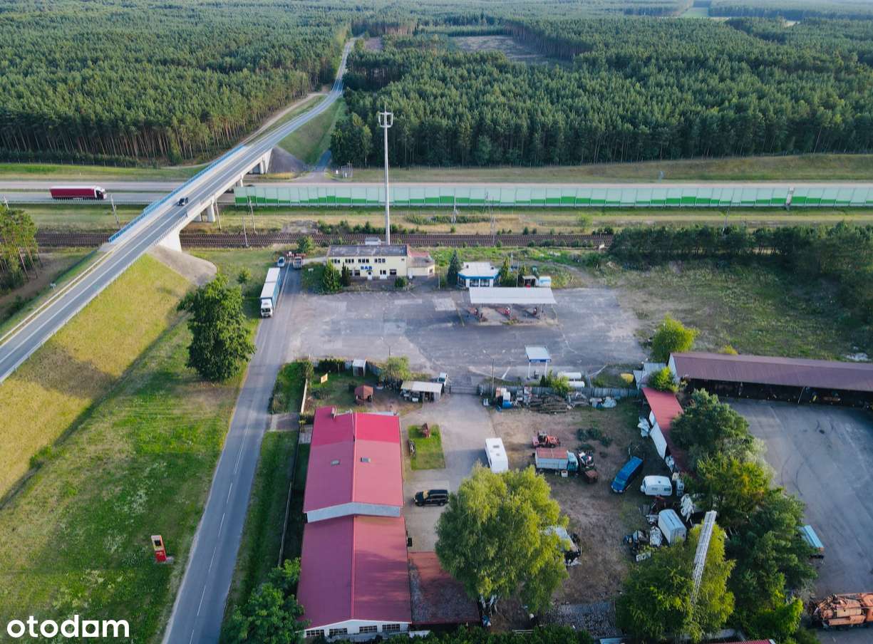 Działka inwestycyjna w Rzepinie - Pełny obrazek: 4/14