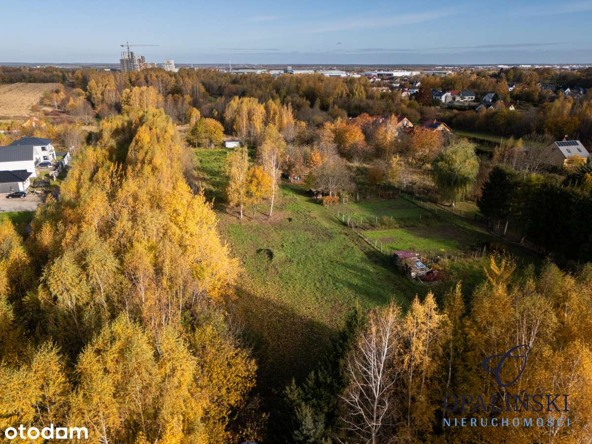 Kameralna okolica | Krakowska | WZ | Zieleń-9