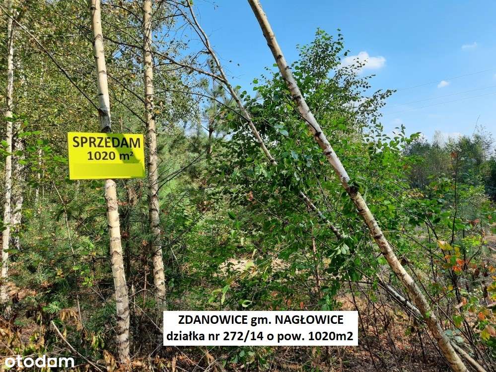 Tania działka rekreacyjna 1020m2 tylko 49.900 zł (brutto z 23% VAT)-14