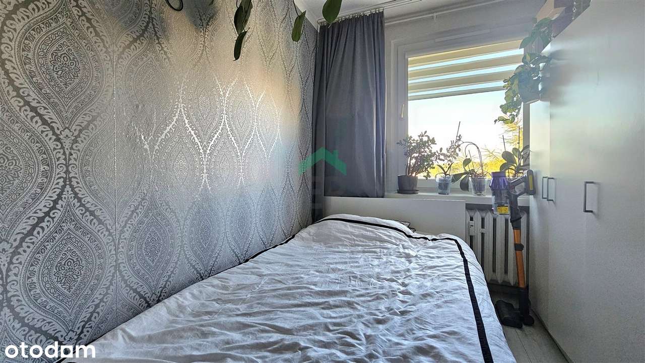 Trzy pokoje do wprowadznia - Pełny obrazek: 5/20