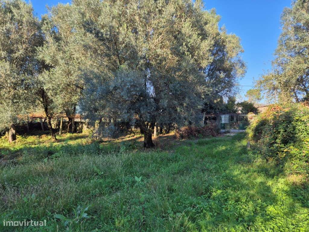 Terreno São Pedro Arcos - Grande imagem: 2/5