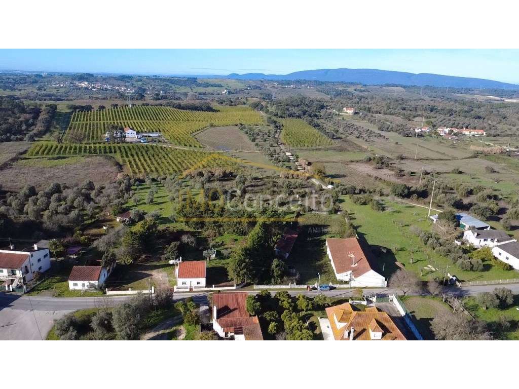 Moradia Independente Olaia e Paço - Grande imagem: 3/20