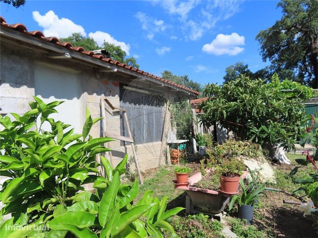 Quinta  para venda-40