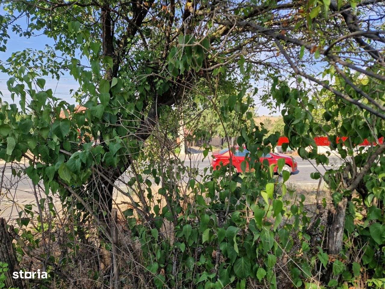 Naipu - Ghimpati, vanzare casa si teren 1000mp. - Imagine principală: 2/20