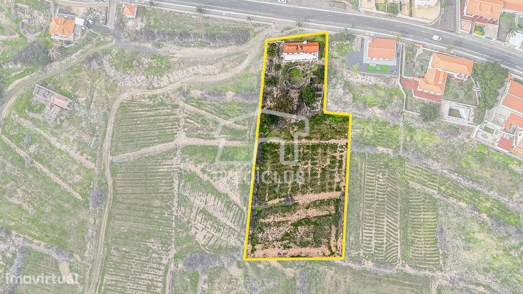 Terreno 4960 m2 - Porto Santo - Grande imagem: 2/12
