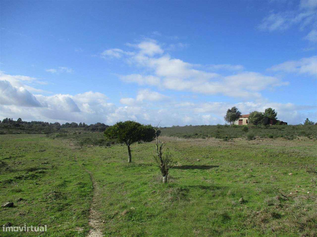 Quinta, Venda - Grande imagem: 5/22