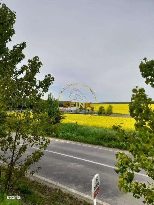 Teren Caldarusani lac/padure 38500 mp, 350 ml deschidere DJ, ape terma - Imagine principală: 3/7