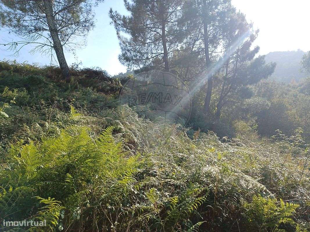 Terreno  para venda - Grande imagem: 5/9