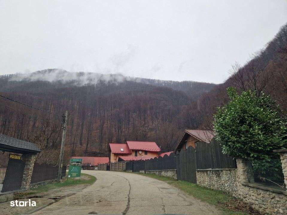 Vanzare teren in com. Pestisani, sat Gureni - zona de munte - Imagine principală: 4/4