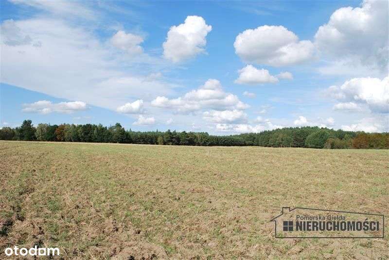 Działka budowlana w Dobrogoszczy, gm. Szczecinek - Pełny obrazek: 5/7