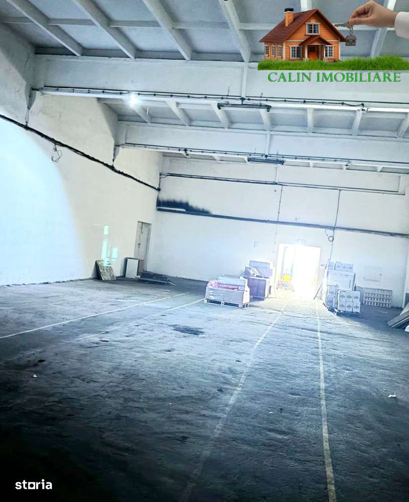 HALĂ INDUSTRIALĂ  Bucium  480 MP  DEPOZITARE 4 euro/mp + TVA - Imagine principală: 5/7