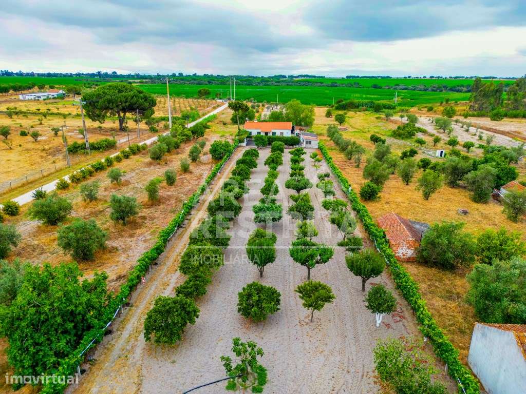 Quinta - Moradia T3 - Canha (Montijo) - 9000 m2 - Grande imagem: 5/56