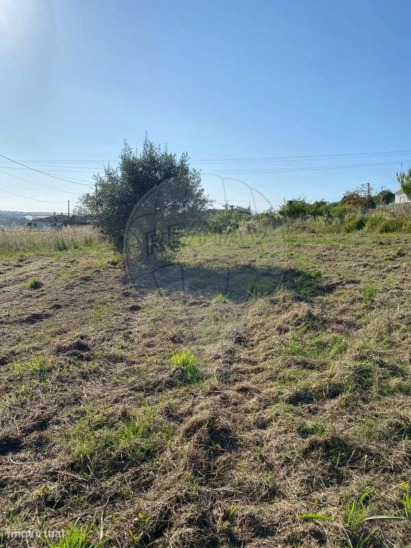 Terreno  para venda - Grande imagem: 4/4