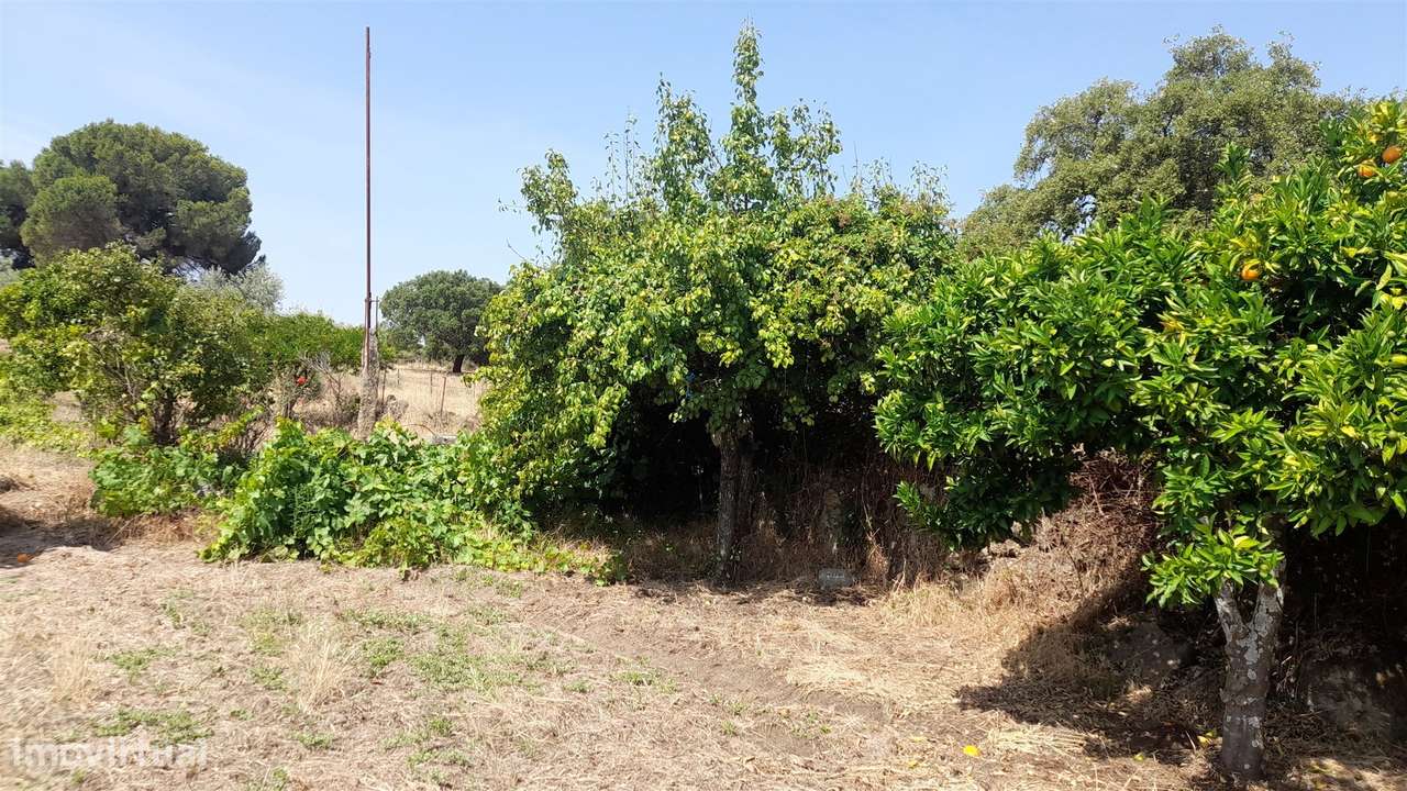 Terreno Rústico  Venda em Escalos de Cima e Lousa,Castelo Branco-5