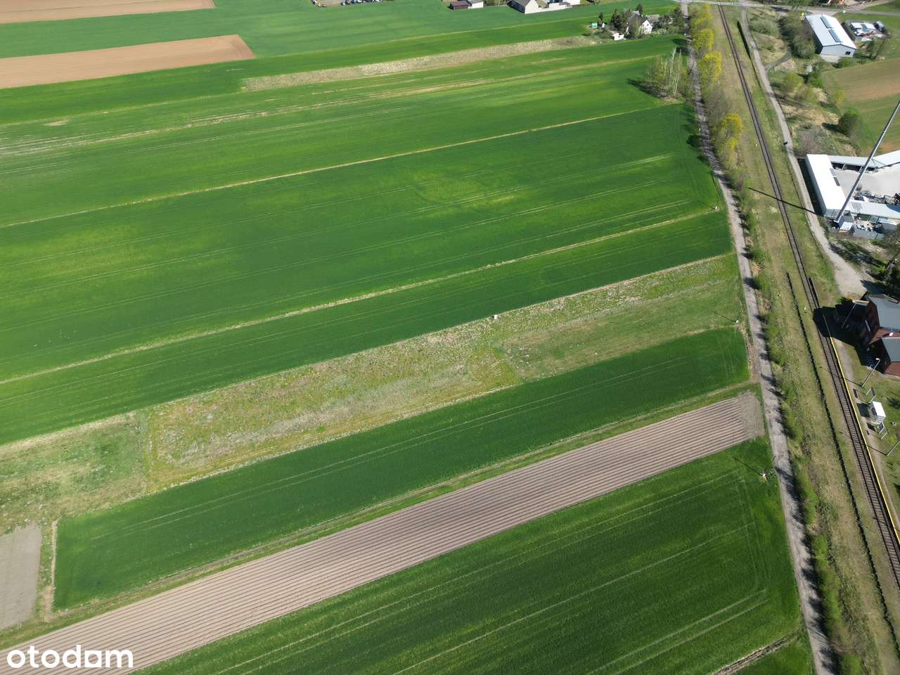 Działka budowlana w Kotorzu Małym - Pełny obrazek: 4/5