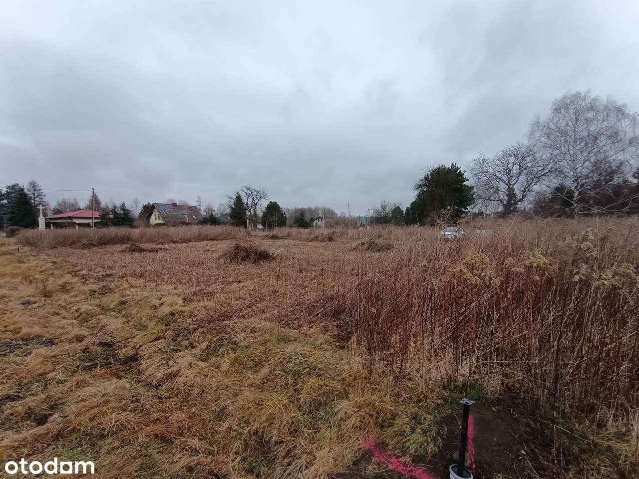 Działka budowlana w Orzeszu 650m2 - CENA DO NEGOCJACJI - Pełny obrazek: 4/5