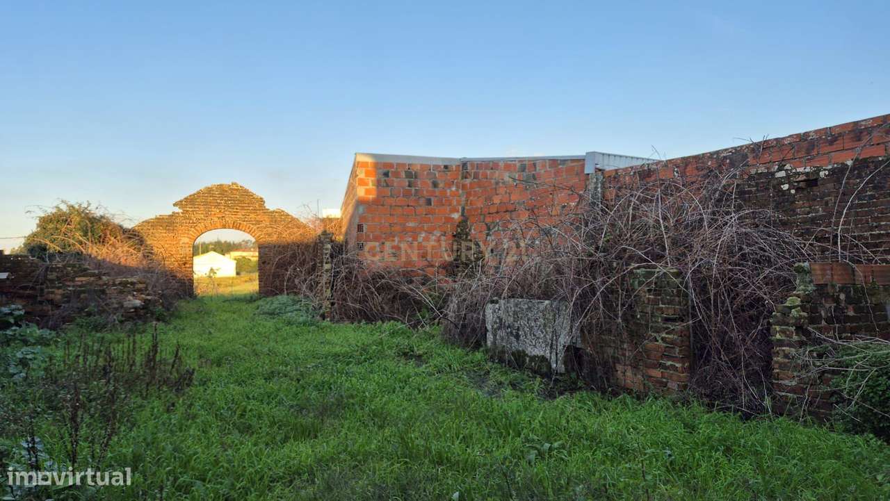 Casa Antiga em Carriço, Pombal - Oportunidade Única-19