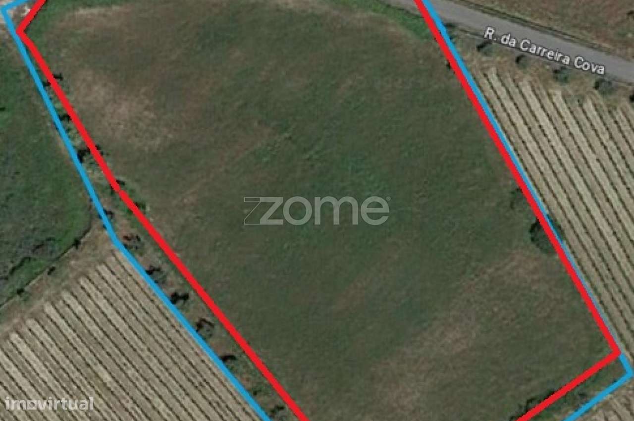 Terreno Rústico em São Paio, Gouveia – Carvalhal - Grande imagem: 3/3