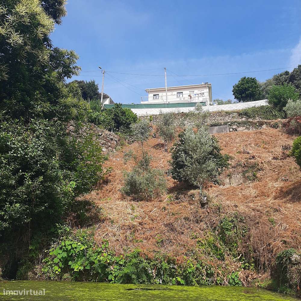 Casa em pedra para reconstruir Canelas Penafiel-15