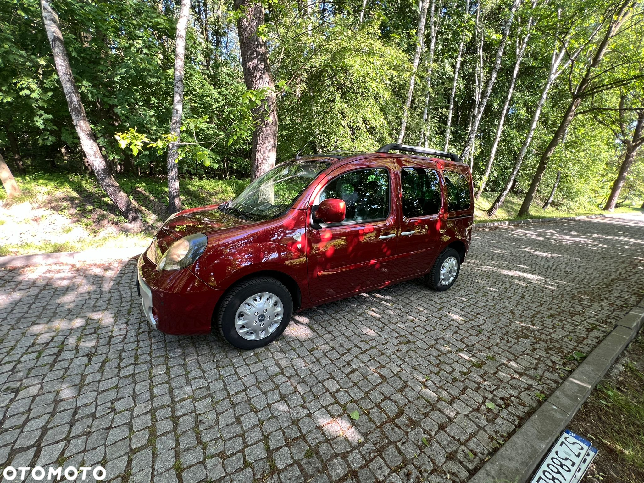 Renault Kangoo 1.6 16V Privilege Plus - 13