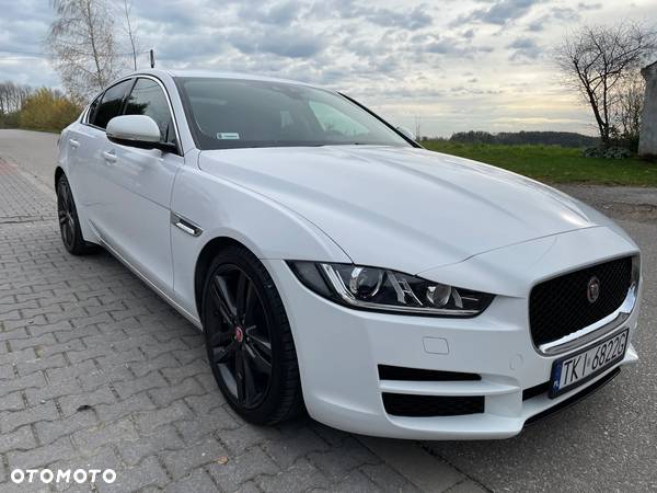 Jaguar XE - 31