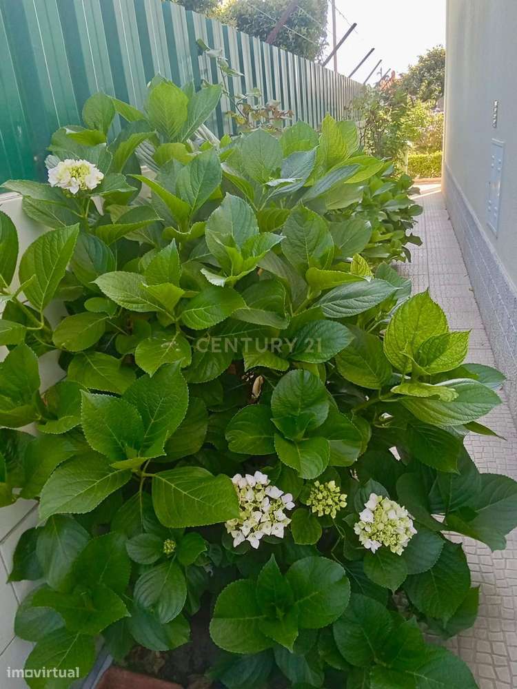 Moradia T4 Independente com garagem e jardim e Sótão em Setúbal-6