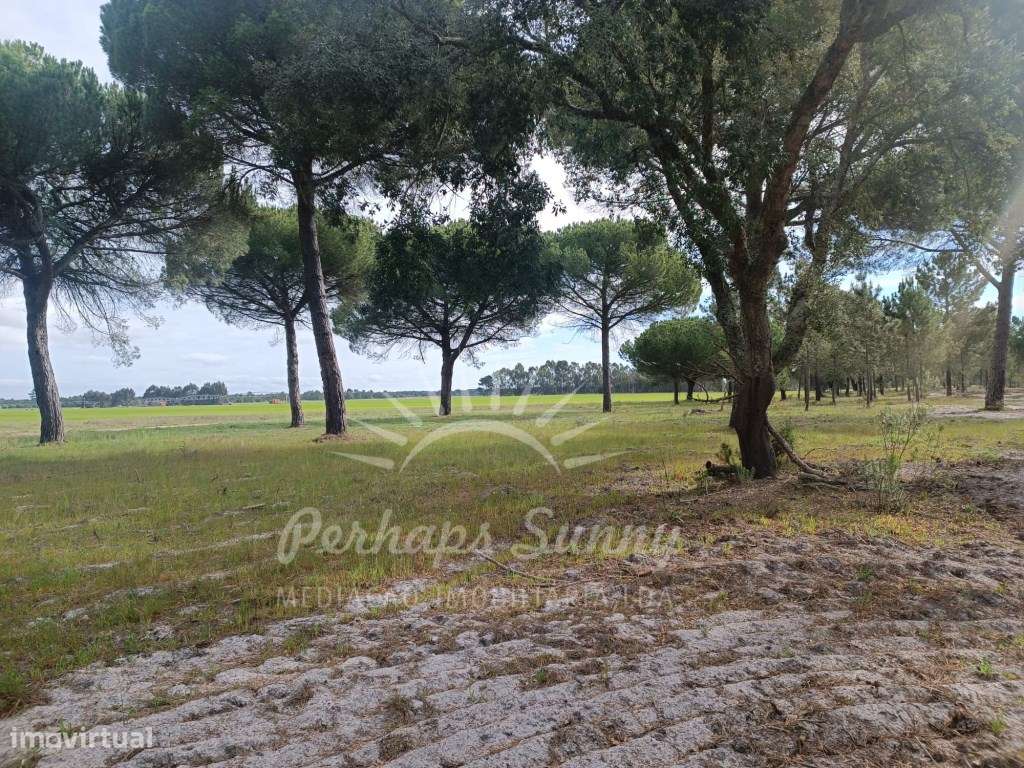 Herdade Bicas - Comporta - Grande imagem: 2/25