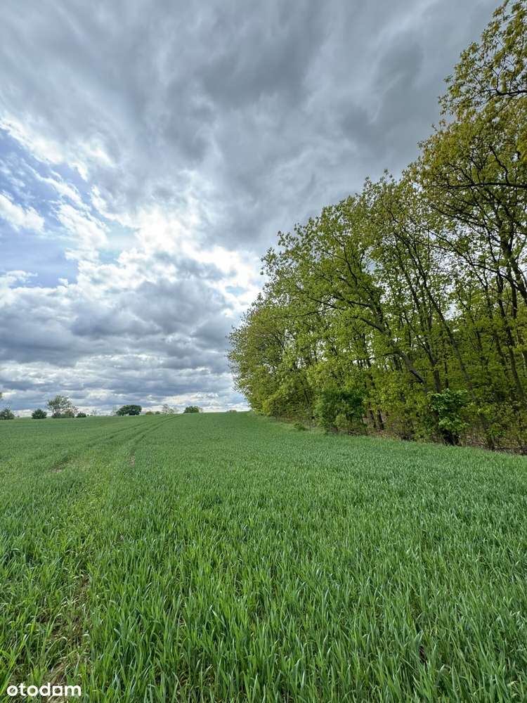 Bezpieczna inwestycja w nieruchomości – działka budowlana w Lichnowach - Pełny obrazek: 5/6