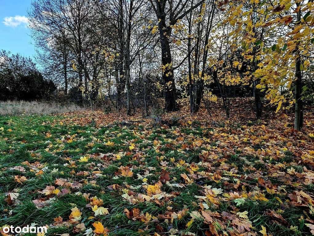 Działka w super lokalizacji - Stary Wielisław-3