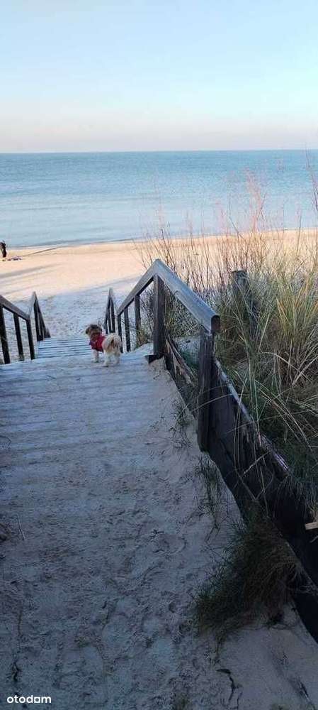 Międzywodzie apartament 42 mkw z parkingiem.-12