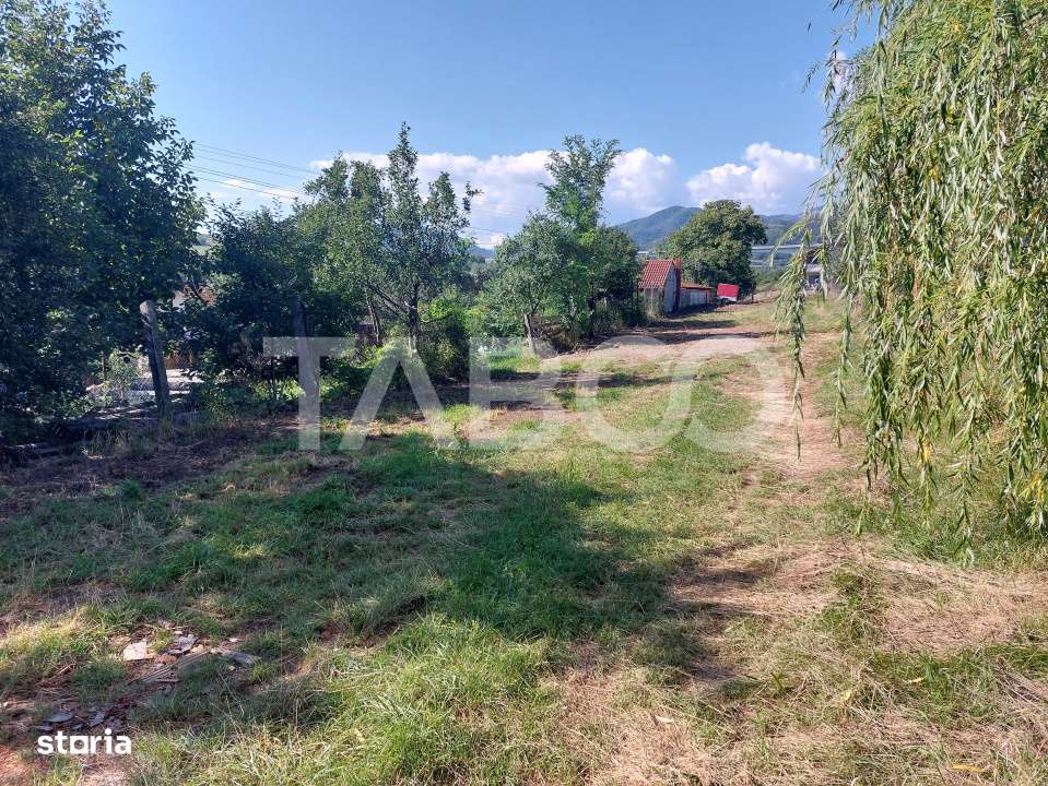 Teren intravilan 812 mp PUZ aprobat utilitati pe teren Talmaciu - Imagine principală: 2/10