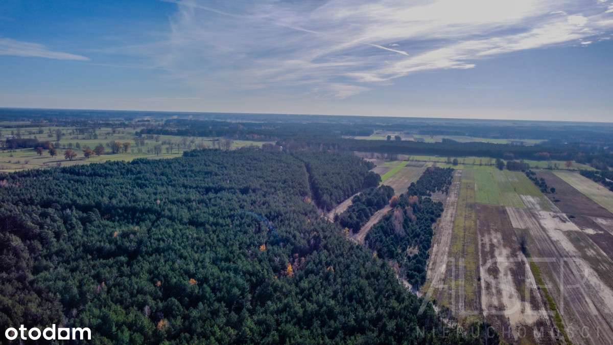 7 Działek pod zabudowę z częścią wspólną - Pełny obrazek: 4/20