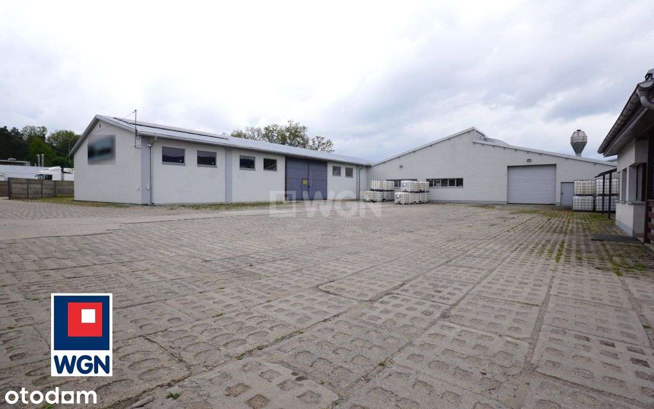 Hala/Magazyn, 4 440 m², Piotrków Trybunalski - Pełny obrazek: 4/20