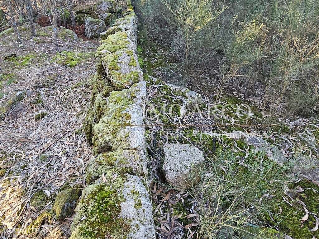 Terreno Rústico com 45.900 m² - Pedraça, Cabeceiras de Basto-14
