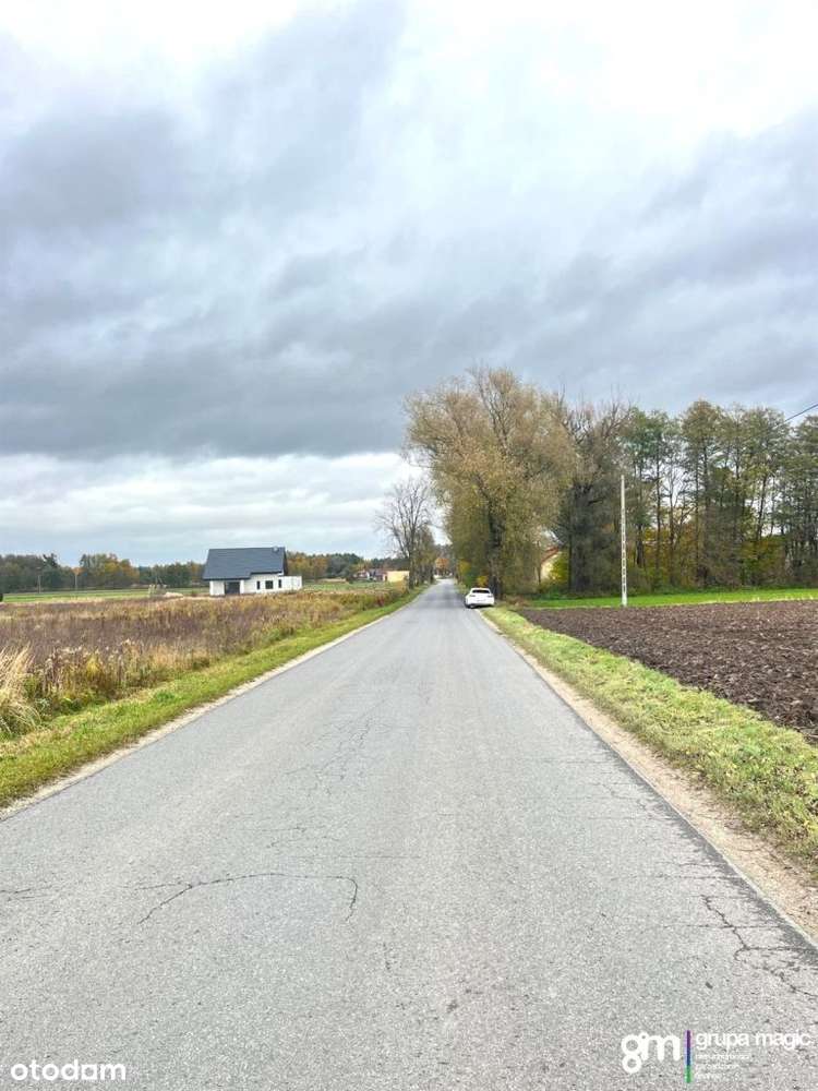 Działka Szembekowo, gm. Obrowo - Pełny obrazek: 5/13