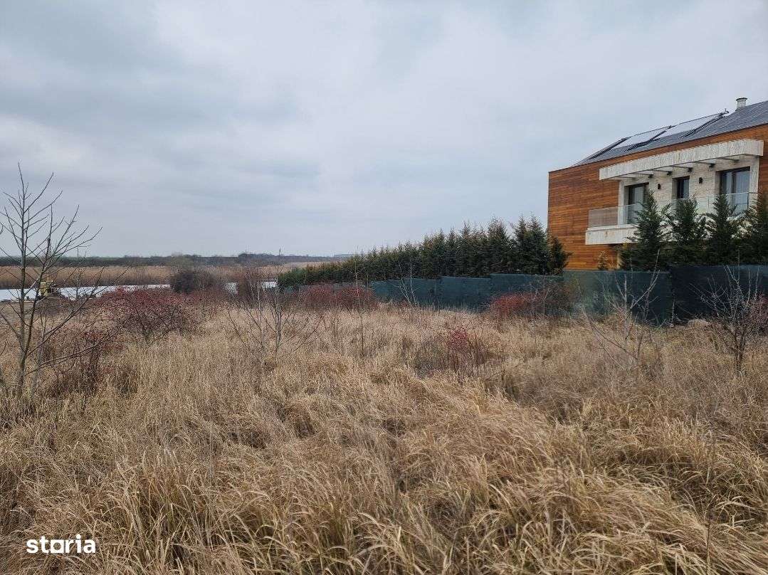 Teren Izvorani iesire Lac | loturi Izvorani | delta Snagov-9