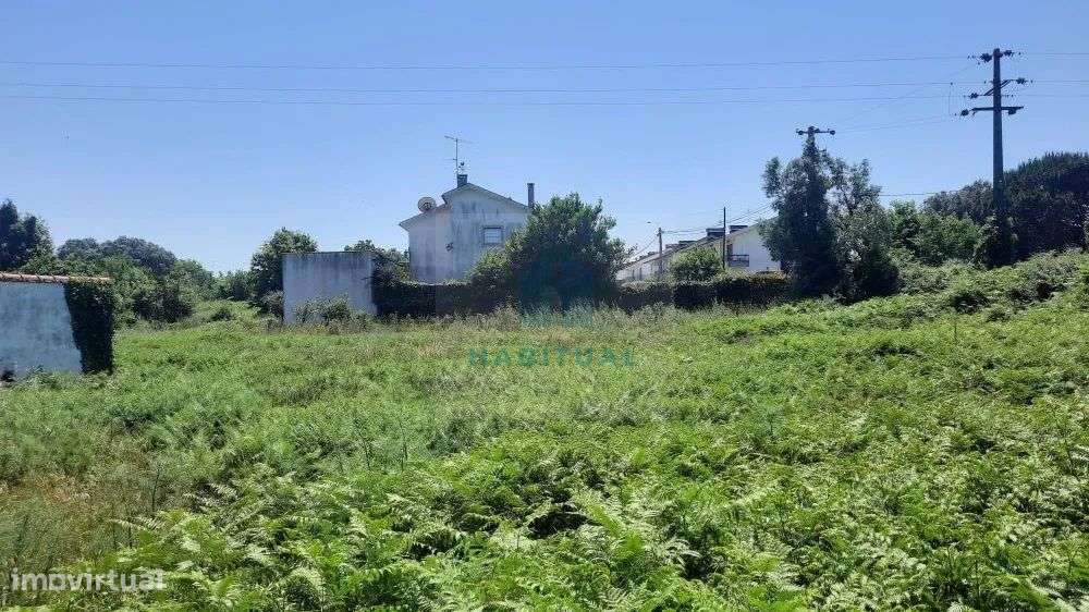 TERRENO EM SANTA MARTA COM 1800 M2 - Grande imagem: 5/7