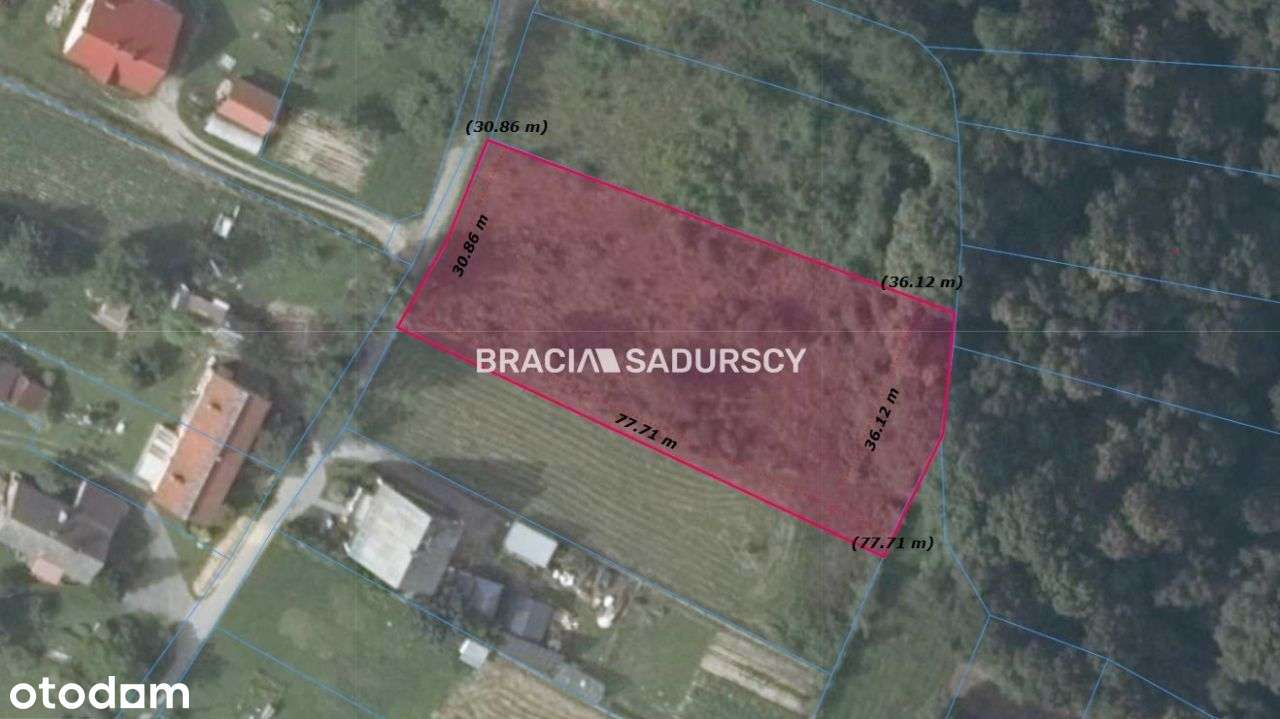 Wieliczka (gw), Jankówka - Pełny obrazek: 4/18